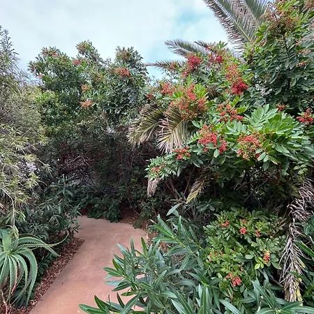 Apartamento Marina La Caleta (El Hierro)
